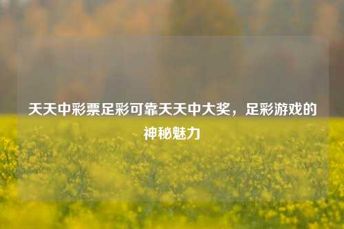 天天中彩票足彩可靠天天中大奖，足彩游戏的神秘魅力