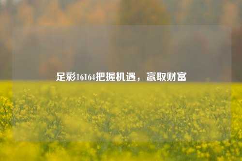 足彩16164把握机遇，赢取财富